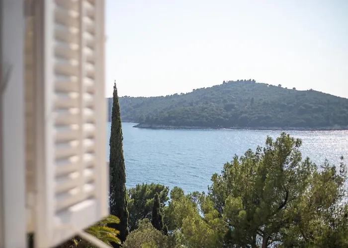 Seaview Apartment Ploce
